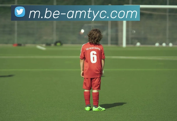 太阳城网站发展历程